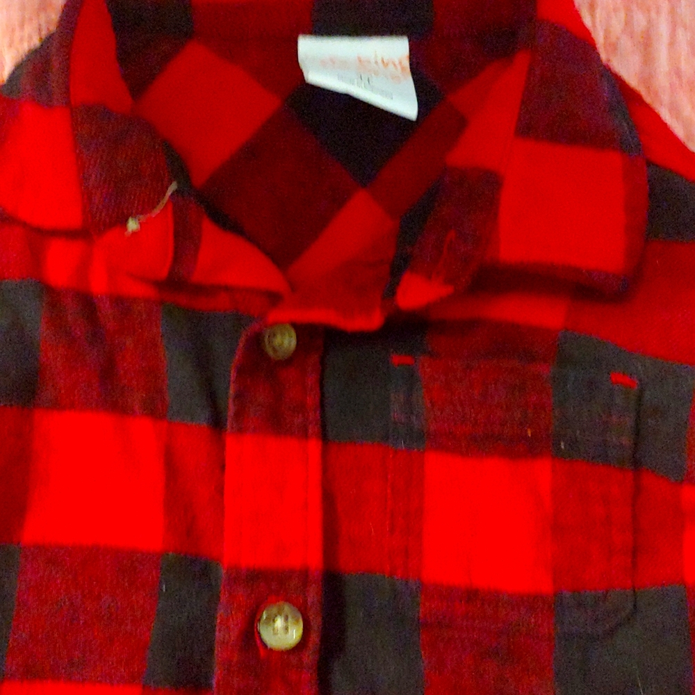 Jumping beans 4t but on down red and black plaid shirt
